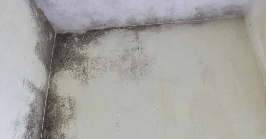 Ceiling Leak