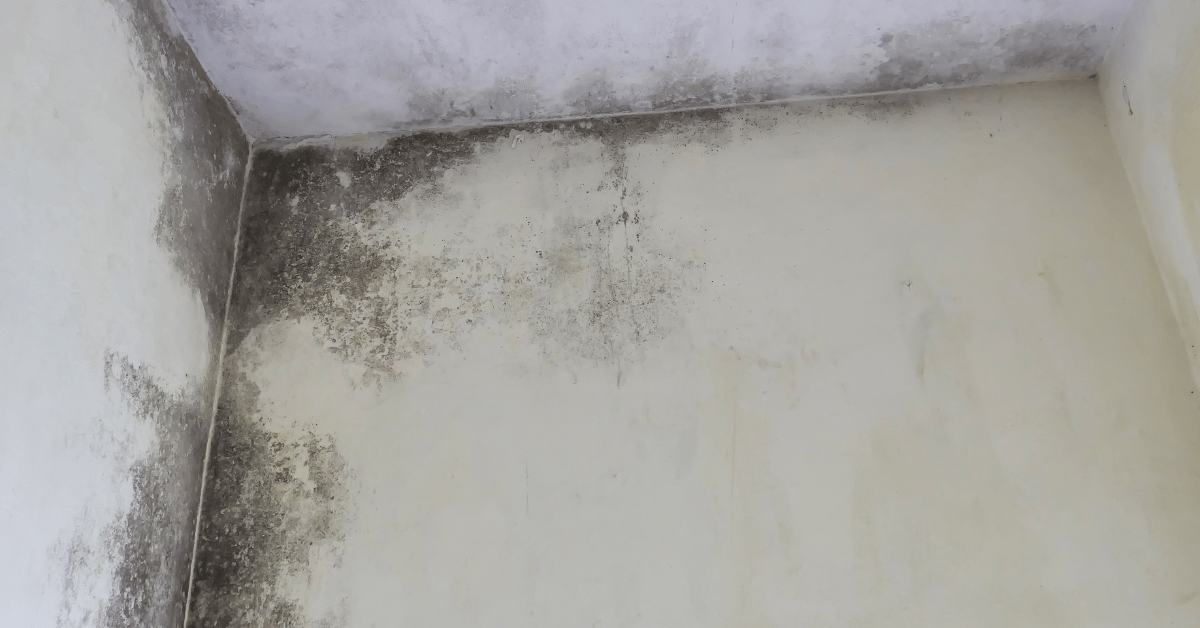 Ceiling Leak