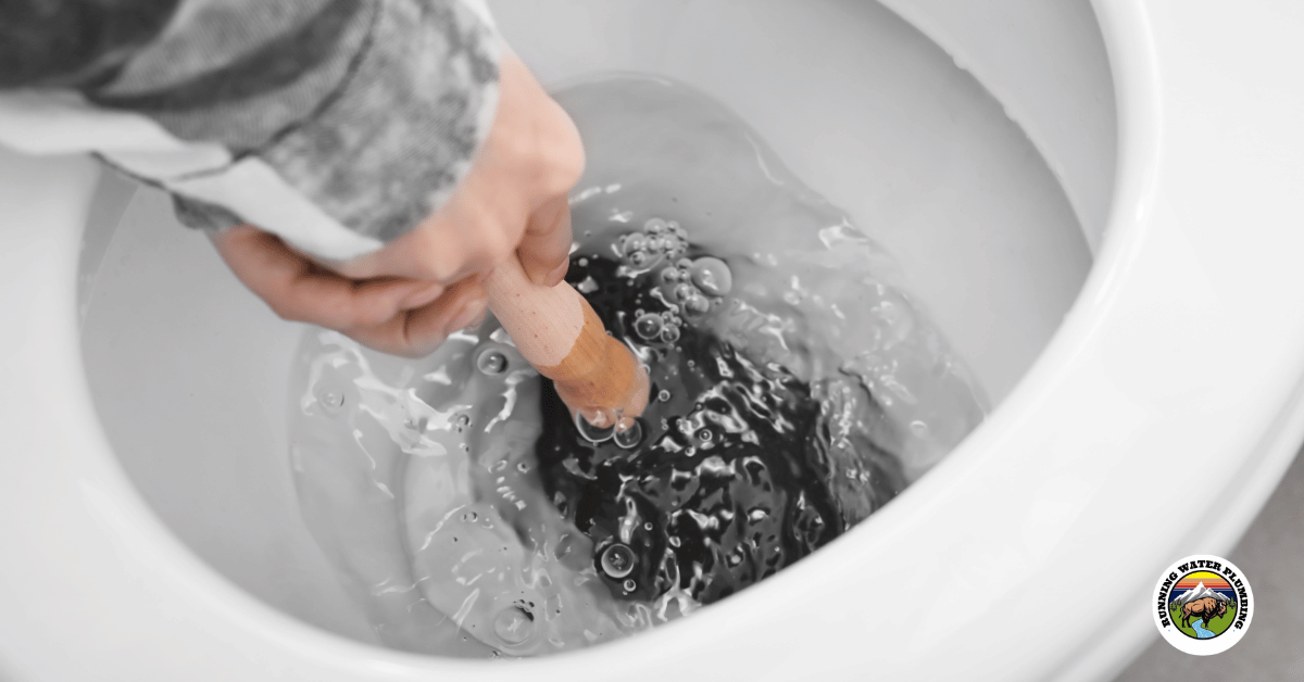 Best Toilet Plunger