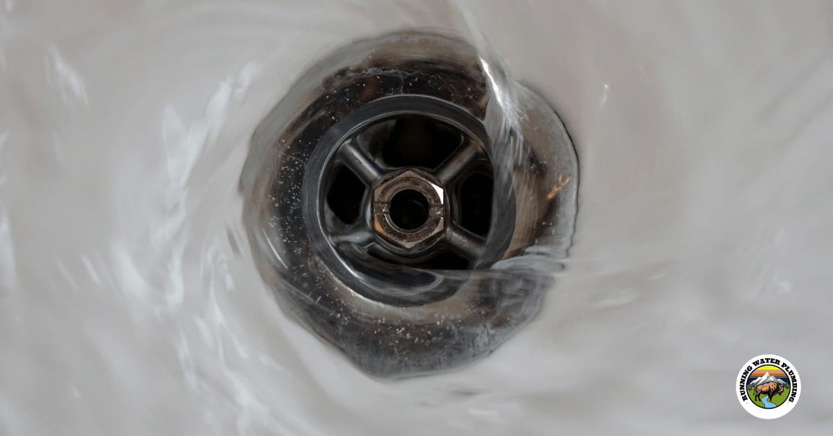 Types of Drain Cleaners