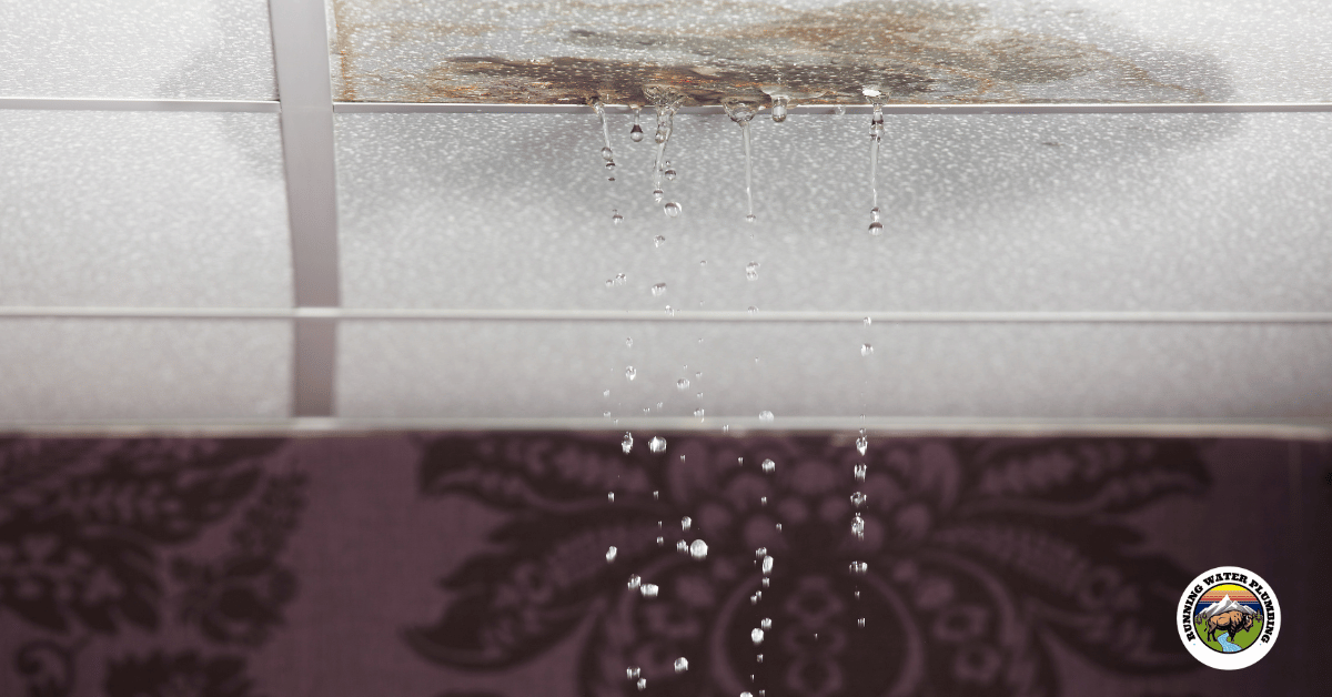 Roof leaks