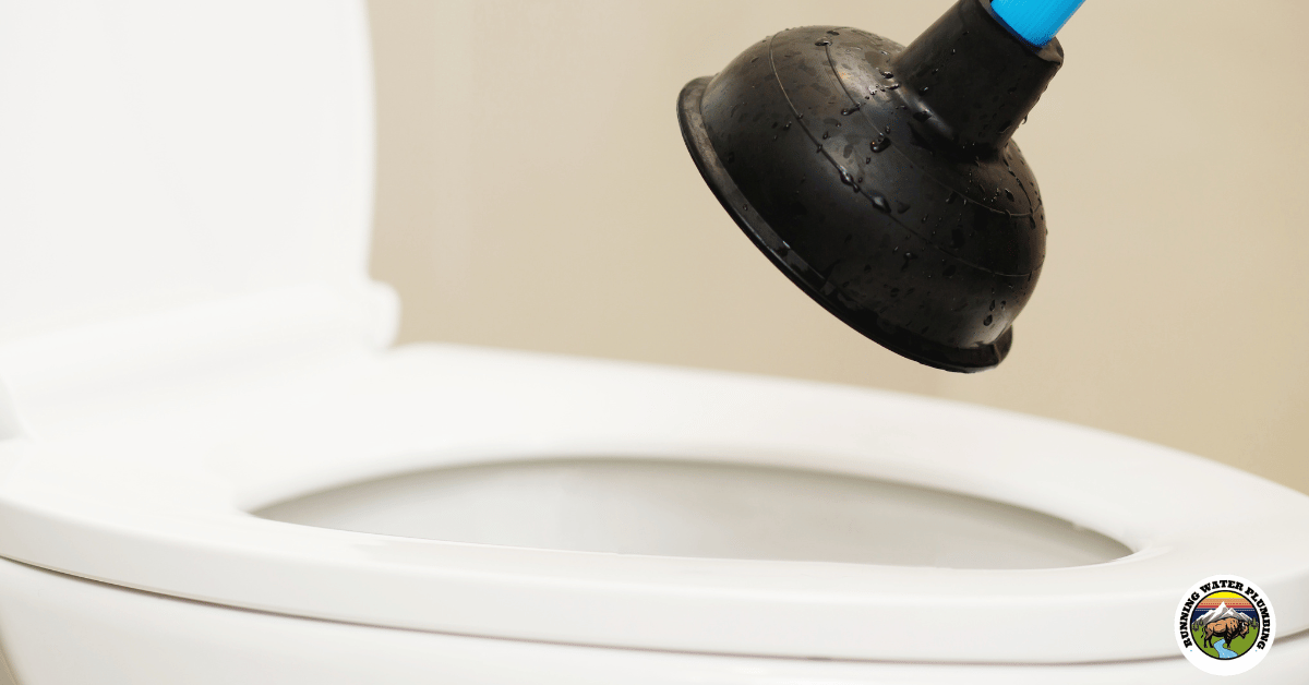  Toilet Plunger 