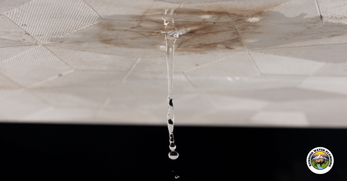 Ceiling Leak