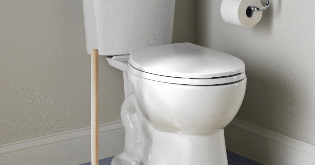 How to Plunge a Toilet